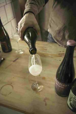 Hinterland Wine Company