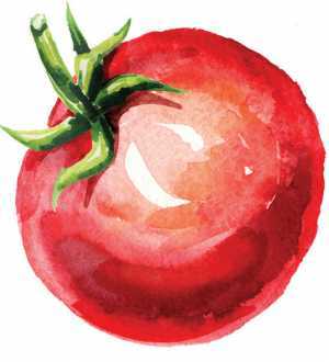 The history of the caesar cocktail | A tomato