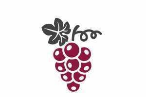Ontario Wine Awards | A drawing of grapes Ontario Wine Awards | A drawing of grapes