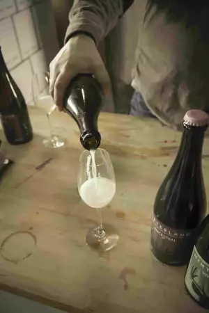 Hinterland Wine Company