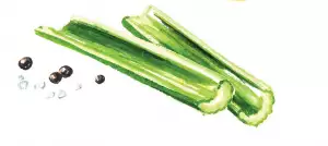 The history of the caesar cocktail | Celery sticks The history of the caesar cocktail | Celery sticks