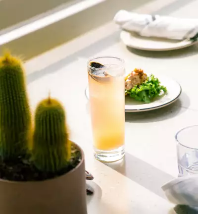 A paloma at the Drake Cafe