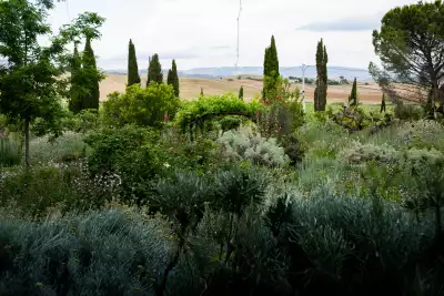 Anna Tasca Lanza Cooking School, Sicily | A garden at Case Vecchie, home of the Anna Tasca Lanza Cooking School