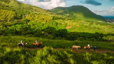 Horseback riding in St. Kitts