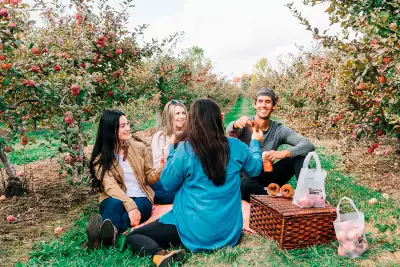 Drink ON Cider | Four friends enjoy a picnic among the apple orchards at Brantview Apples and Cider