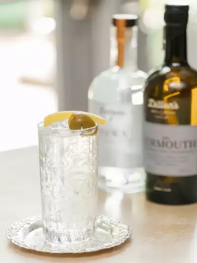 Dirty martini and tonic | A collins glass filled with Dirty &lsquo;Tini & Tonic and Dillon's vermouth and gin behind