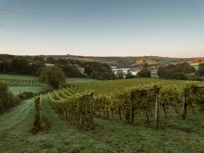 Inside England&rsquo;s evolving wine regions | The Sandridge Barton Estate