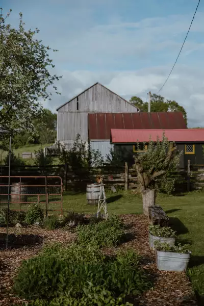 Down Home in Markdale | Down Home is located on a field in Markdale, where the restaurant sources much of its food