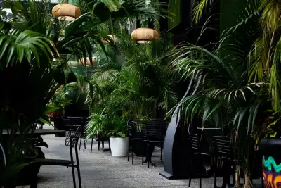 Best patios in Toronto | The patio at Chotto Matte