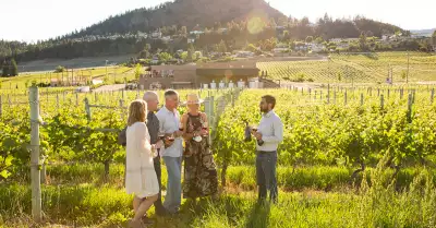People in the vineyard at Volcanic Hills Winery