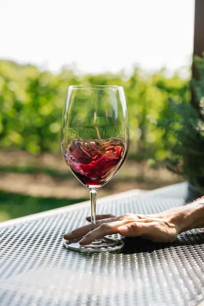 Mason Vineyard | A hand swirls a glass of red wine at Mason Vineyard
