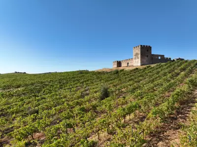 Wines of Alentejo: Rows of vines climb toward the medieval Castle of Evoramonte, overlooking the countryside near Estremoz, Portugal