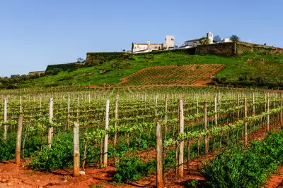 Wines of Alentejo: Vines rooted in Alentejo&rsquo;s distinctive red soils stretch toward Estremoz, as the region embraces more sustainable approaches to viticulture