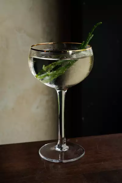 Casa Rubia | The Martini Gin, with vodka, manzanilla sherry, dry vermouth, peat rinse (Islay scotch, kelp), tarragon spray and samphire
