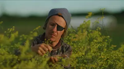 Shane Harper harvests fennel at Pearl Morissette in his new documentary, "Pirate Produce"