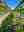 McManis wine | Rows of vines at McManis Family Vineyards