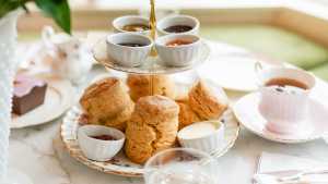 Afternoon tea and high tea in Toronto | Kitten and the Bear Jam & Tea service Afternoon tea and high tea in Toronto | Kitten and the Bear Jam & Tea service