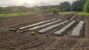 The future of farming is BIPOC | In the field at Sunny Boy Farms The future of farming is BIPOC | In the field at Sunny Boy Farms