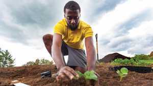 The future of farming is BIPOC | Soniel Gordon set up Sunny Boy Farms in Pickering The future of farming is BIPOC | Soniel Gordon set up Sunny Boy Farms in Pickering