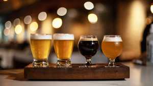 Folly Brewpub on College Street | A lineup of draft beer at Folly Folly Brewpub on College Street | A lineup of draft beer at Folly