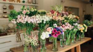 Flowers are ready for a floral arrangement workshop at Olivia's Garden Flowers are ready for a floral arrangement workshop at Olivia's Garden