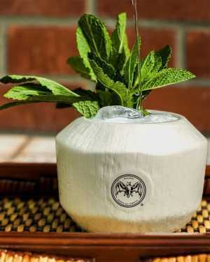 Baro Toronto | Coconut mai tai on the rooftop Baro Toronto | Coconut mai tai on the rooftop