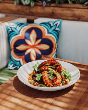 Baro toronto | Grilled octopus Baro toronto | Grilled octopus