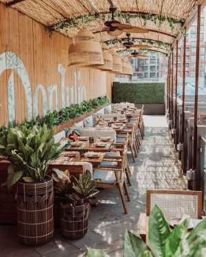 Baro toronto | Open rooftop patio Baro toronto | Open rooftop patio