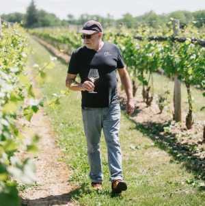 13th Street Winery, Niagara | A man walking in the vineyard 13th Street Winery, Niagara | A man walking in the vineyard
