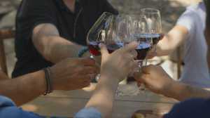 Greek wines | Friends cheers with wine glasses in Crete, Greece Greek wines | Friends cheers with wine glasses in Crete, Greece