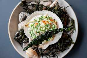 Where The Dorset's exec chef Ryan Lister eats | A scallop dish at The Dorset Where The Dorset's exec chef Ryan Lister eats | A scallop dish at The Dorset