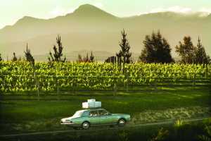 Dog Point Sauvignon Blanc | A car driving through the vineyards in Marlborough, New Zealand Dog Point Sauvignon Blanc | A car driving through the vineyards in Marlborough, New Zealand