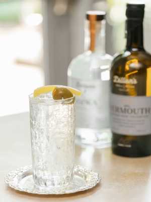 Dirty martini and tonic | A collins glass filled with Dirty ‘Tini & Tonic and Dillon's vermouth and gin behind
