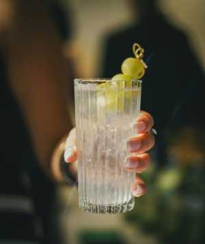Toronto Cocktail Festival | A cocktail made using Tanqueray Gin