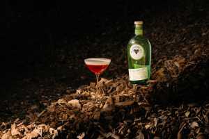 Ramsbury Gin Fall | A bottle of Ramsbury Gin next to a cocktail in a coupe sits in a forest