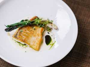 Trius Winery sparkling wine | A fish dish at Trius Winery Restaurant in Niagara-on-the-Lake