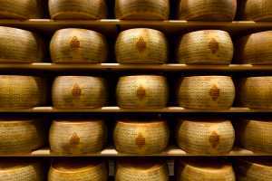 Prosciutto di Parma PDO and Grana Padano PDO cheese | Grana Padano PDO cheese ageing warehouse