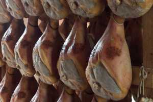 Prosciutto di Parma PDO and Grana Padano PDO cheese | A leg of Prosciutto di Parma PDO Prosciutto di Parma PDO and Grana Padano PDO cheese | A leg of Prosciutto di Parma PDO