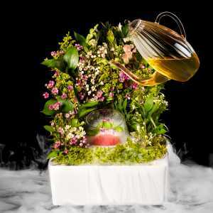 Toronto foodie bucket list | Modernist cocktail at BarChef