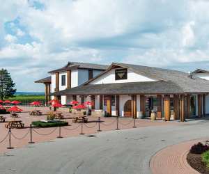 Niagara Wineries | Large sunny outdoor patio at Inniskillin