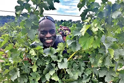 Nyarai Cellars&rsquo; Steve Byfield in the vineyard