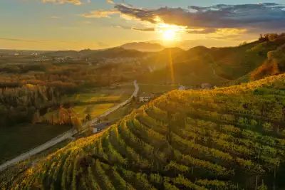 Val d&rsquo;Oca Prosecco | Colbertaldo, Italy
