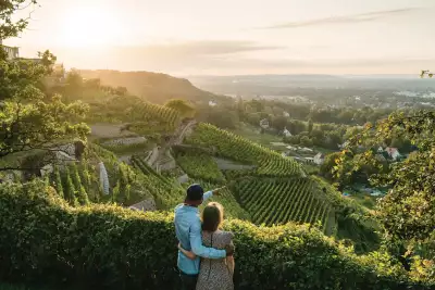 Saxony, Germany | A couple overlooks vineyards in Radebeul