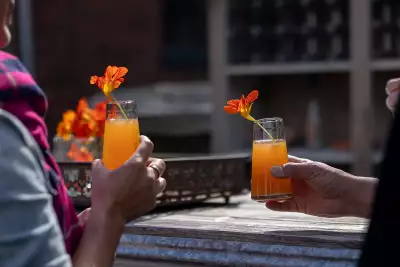 Outdoor dining experiences in Canada | Cocktails at Down Home in Grey County, Ontario
