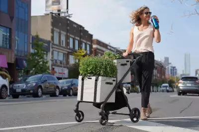 Someone pushes a VOOMcart full of groceries