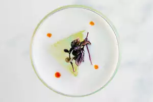Taline Toronto | An overhead shot of a cocktail at Taline