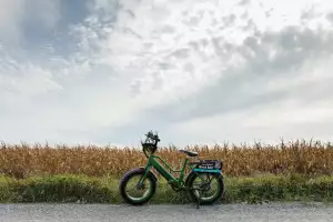 Prince Edward County | A bicycle on the Millennium Trail in Prince Edward County