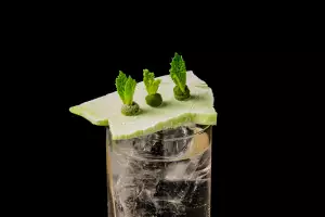 The best bars in Toronto | The Inca Blossom cocktail at BarChef