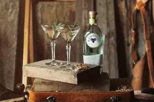 Martinis with a bottle of Ramsbury London dry gin
