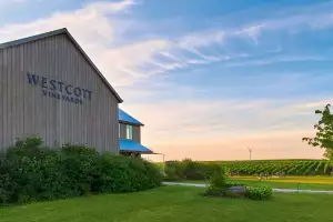 Ontario wine | Westcott Vineyards in Jordan Station, Niagara Ontario wine | Westcott Vineyards in Jordan Station, Niagara
